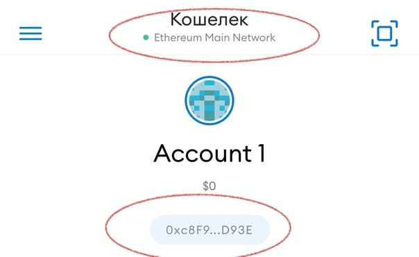 сети в кошельке Метамаск