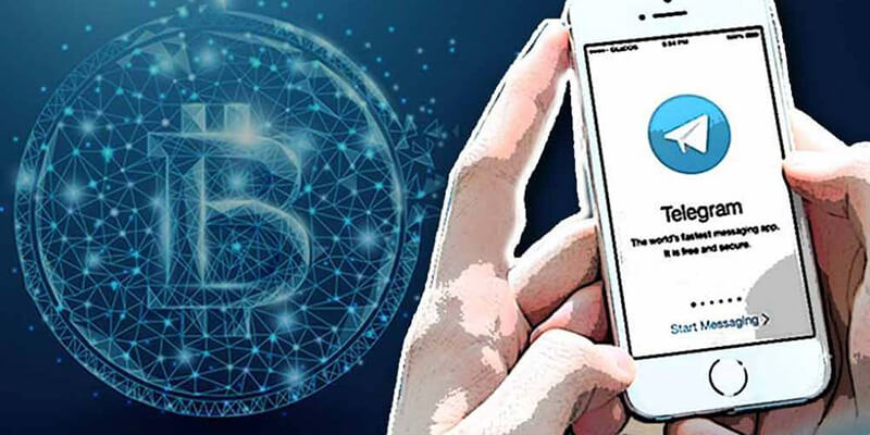 Telegram каналы про криптовалюту: ТОП-список лучших каналов! Telegram каналы криптовалюта