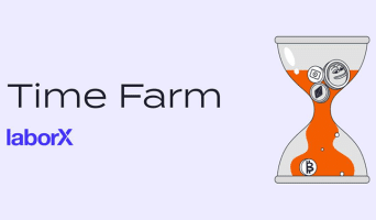 Time Farm (Chrono.Tech): ответы на Оракул Времени + майниг токена $SECOND Time Farm