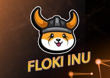 FLOKI (FLOKI): актуальный курс, прогноз и перспективы FLOKI (FLOKI)