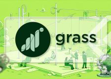 Grass (GRASS): актуальный курс, прогноз и перспективы Grass (GRASS)