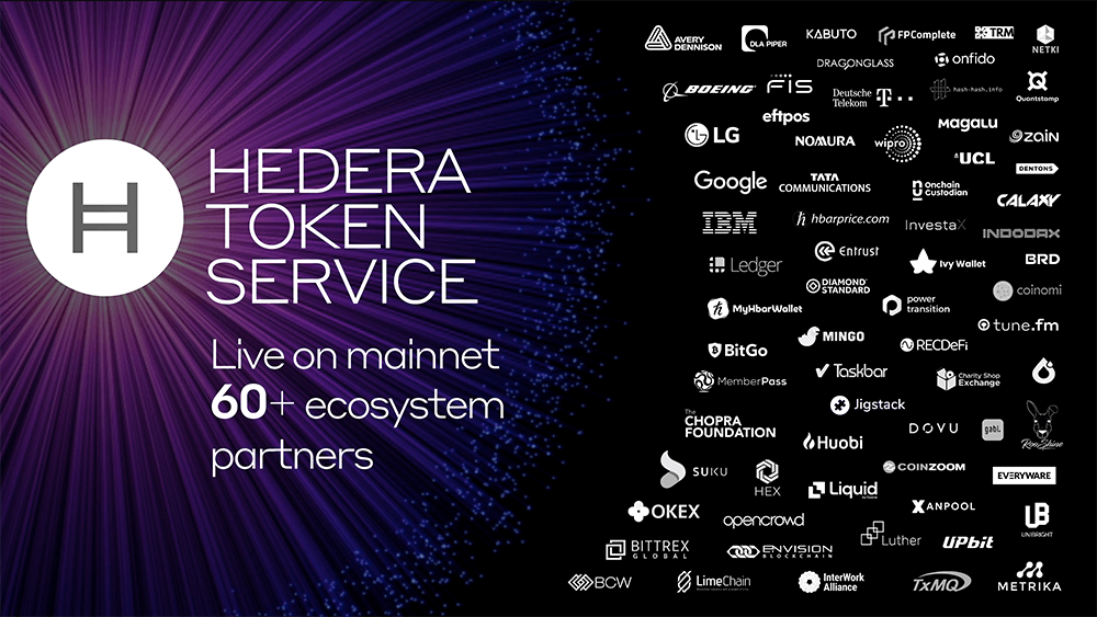 Hedera ecosystem