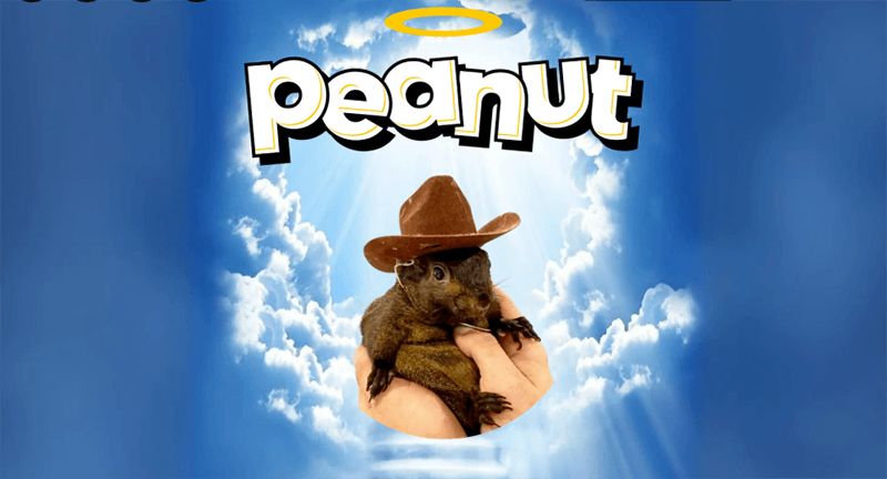 Peanut the Squirrel (PNUT)